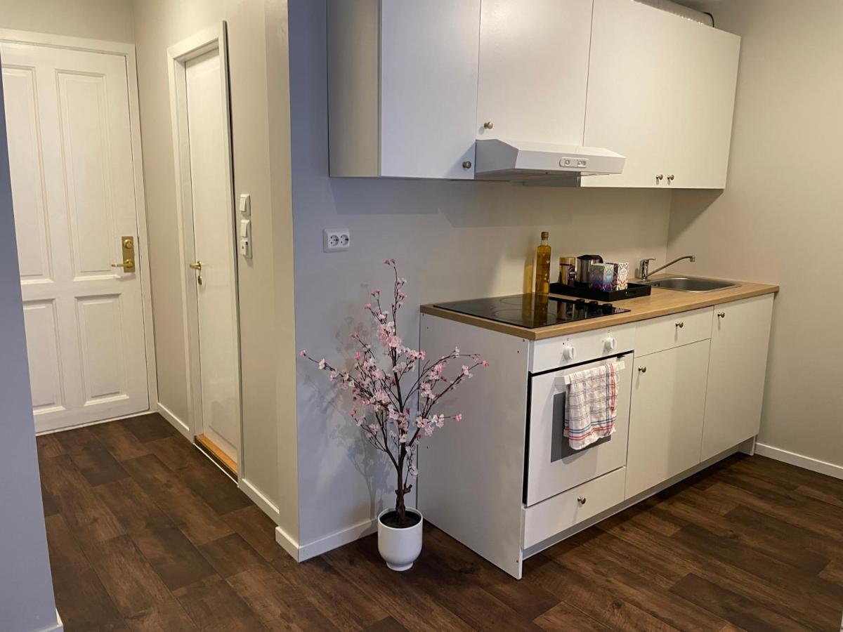 Central Studio Apartment ستافانجر المظهر الخارجي الصورة